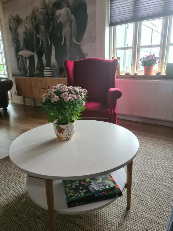 Marsvinslund Bed And Breakfast Viborg Buitenkant foto