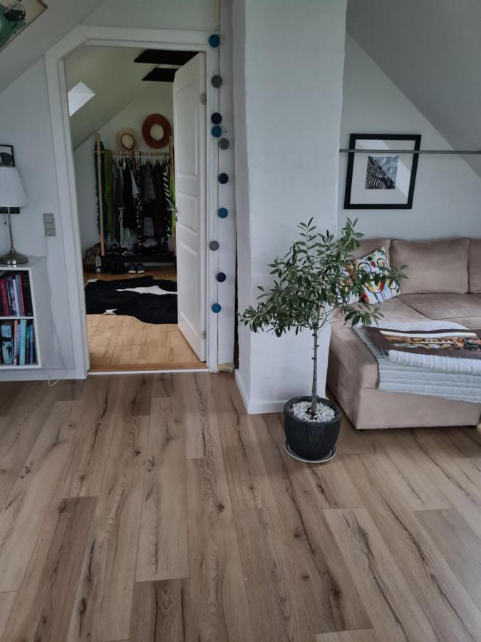 Marsvinslund Bed And Breakfast Viborg Buitenkant foto