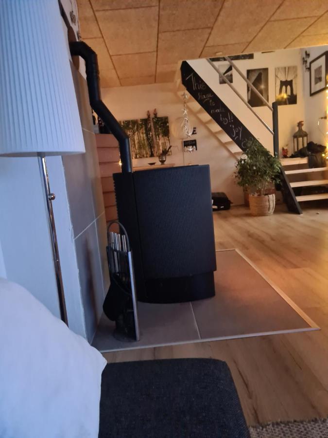 Marsvinslund Bed And Breakfast Viborg Buitenkant foto