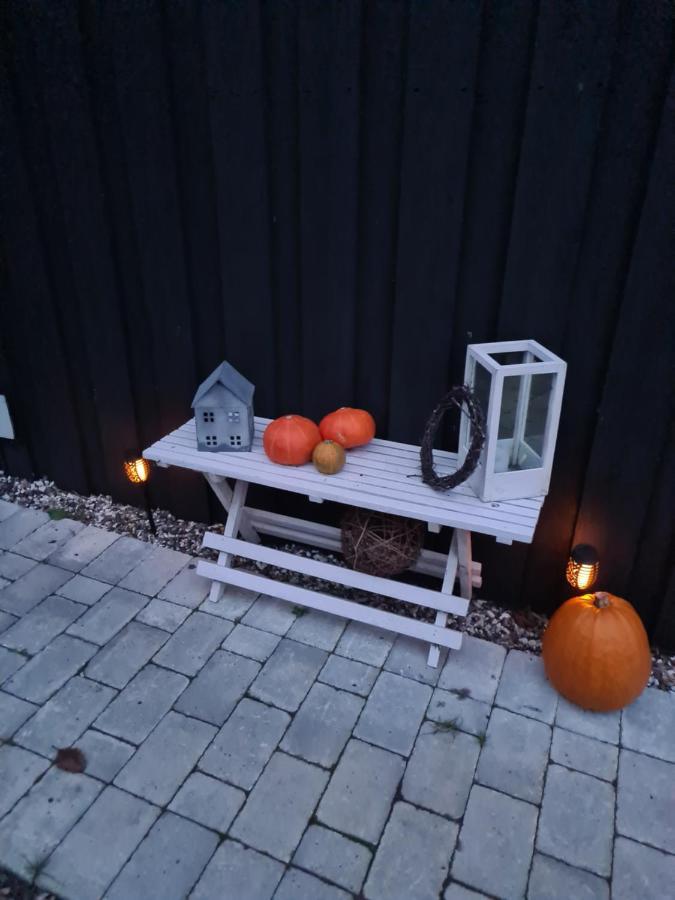 Marsvinslund Bed And Breakfast Viborg Buitenkant foto