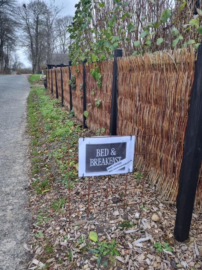 Marsvinslund Bed And Breakfast Viborg Buitenkant foto