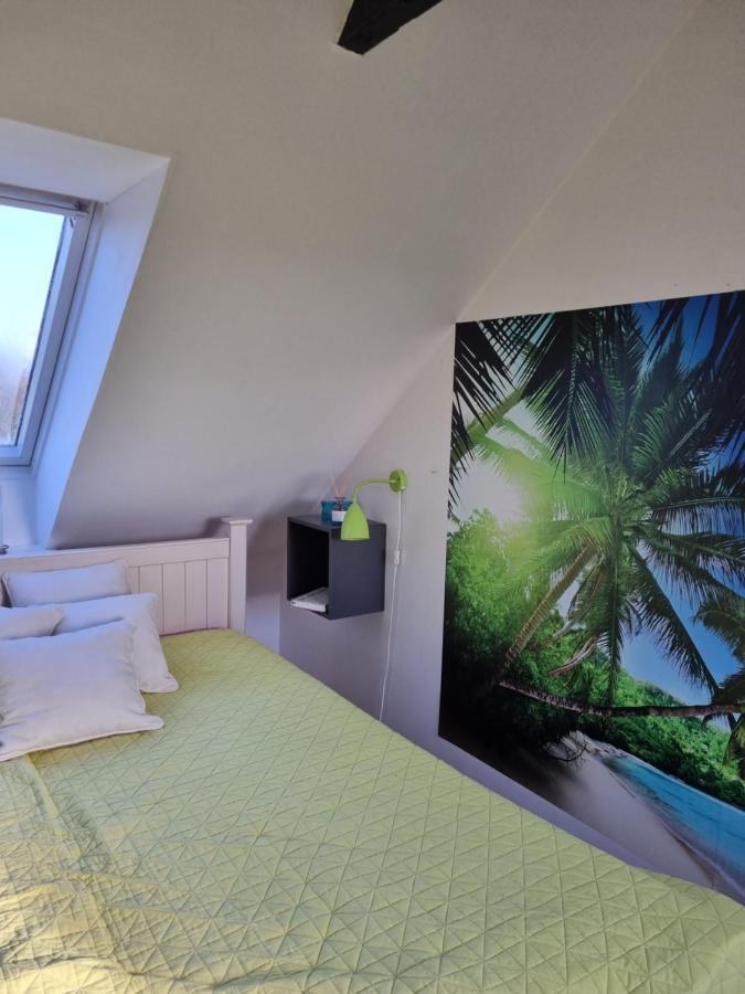 Marsvinslund Bed And Breakfast Viborg Buitenkant foto