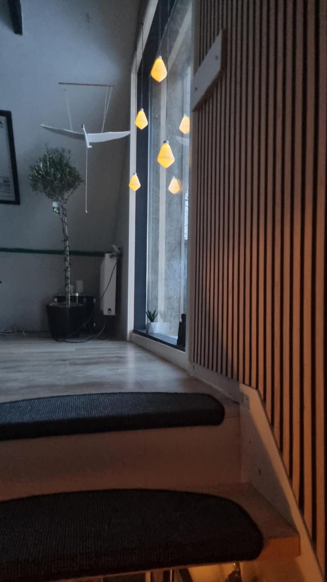 Marsvinslund Bed And Breakfast Viborg Buitenkant foto