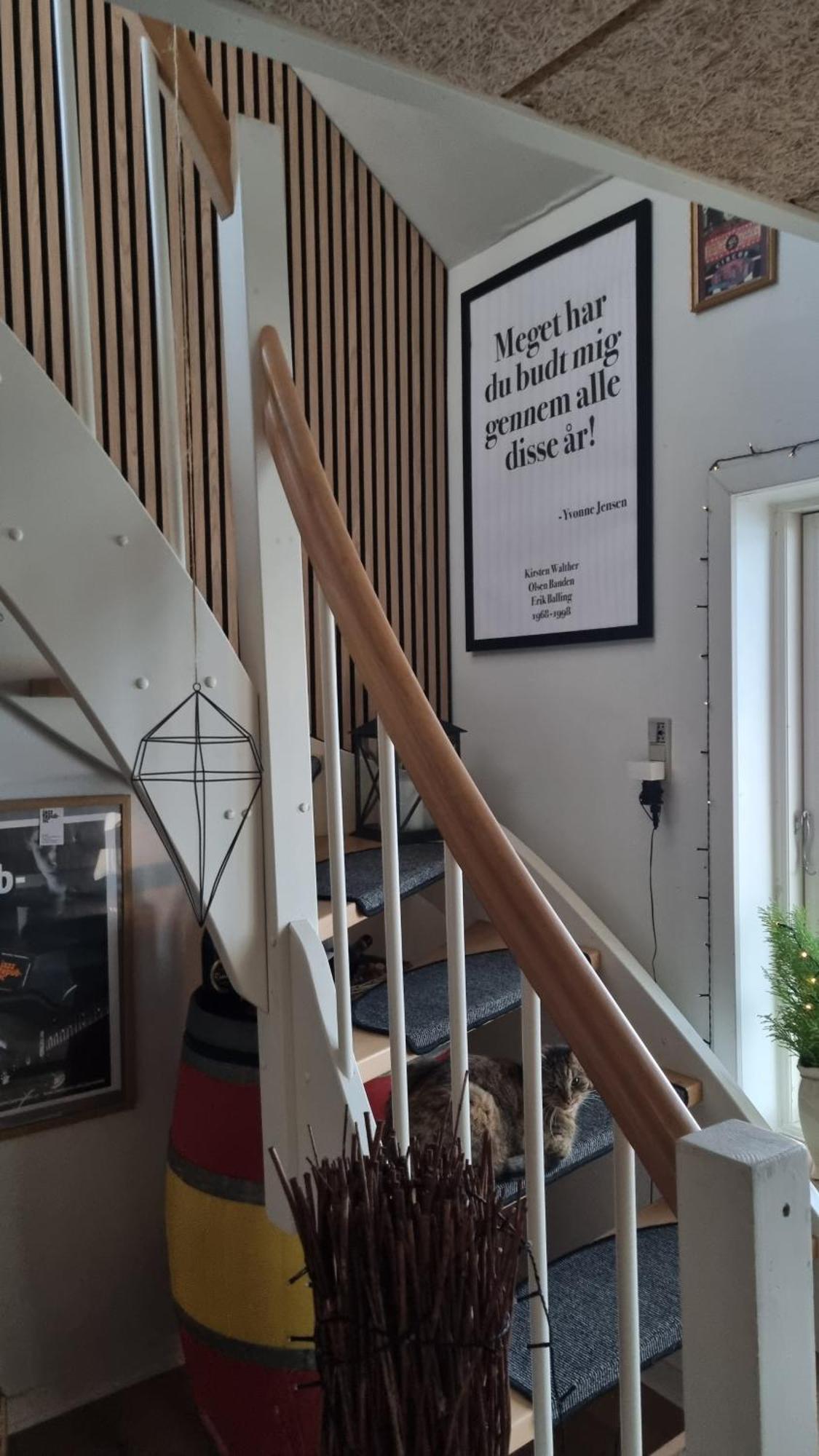 Marsvinslund Bed And Breakfast Viborg Buitenkant foto