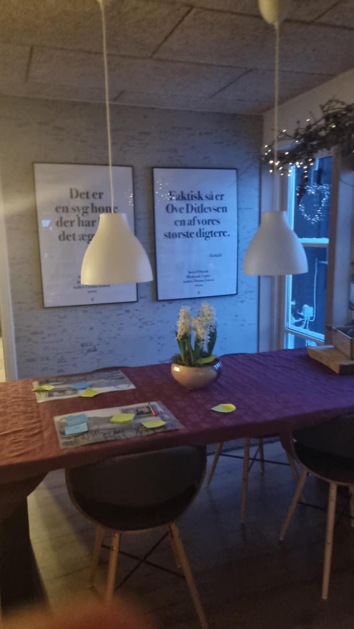 Marsvinslund Bed And Breakfast Viborg Buitenkant foto