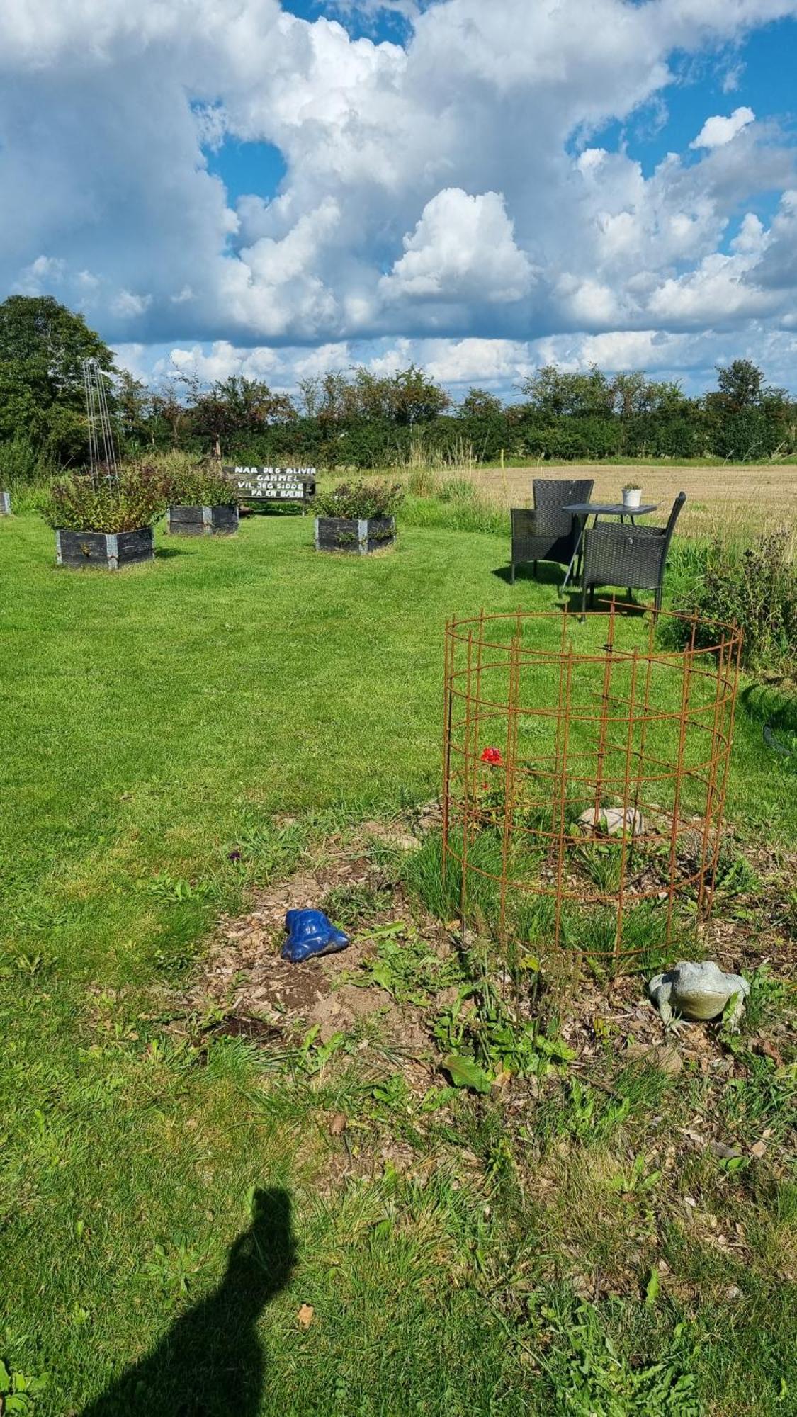 Marsvinslund Bed And Breakfast Viborg Buitenkant foto